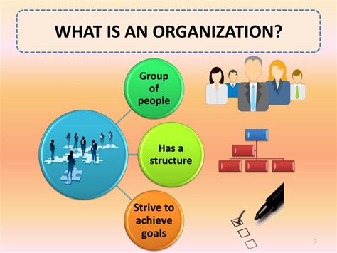 what does org mean.